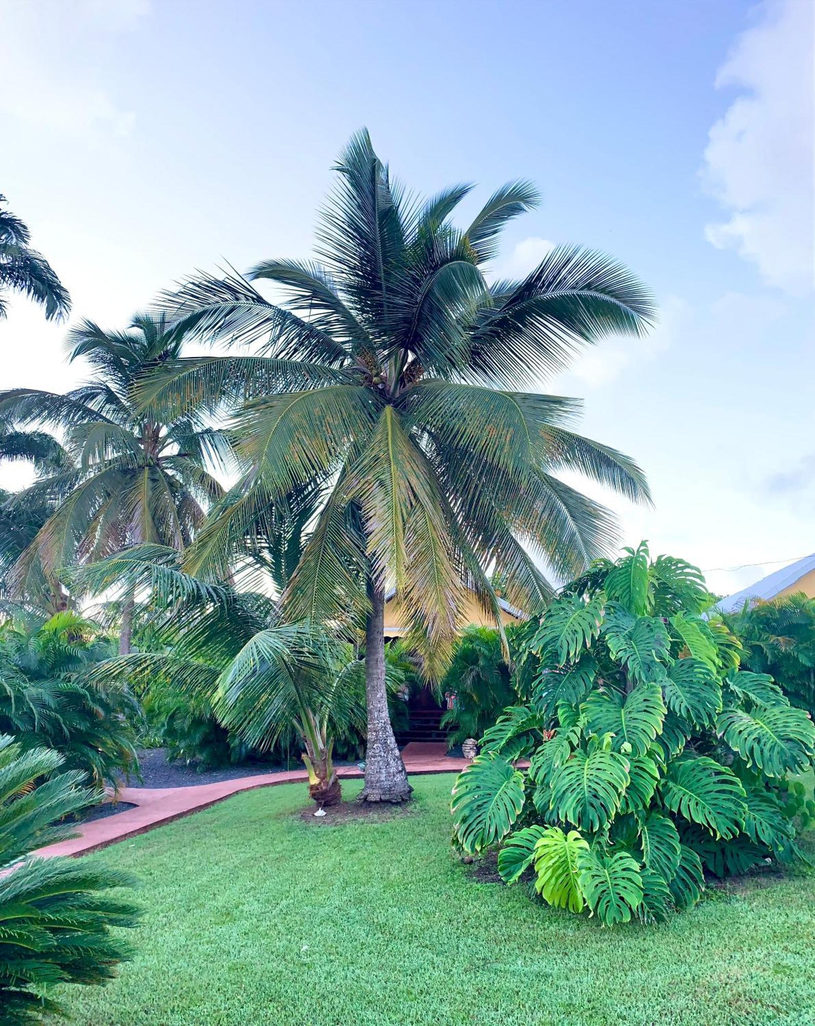 Residence De Tourisme Domaine Saint-Francois المظهر الخارجي الصورة