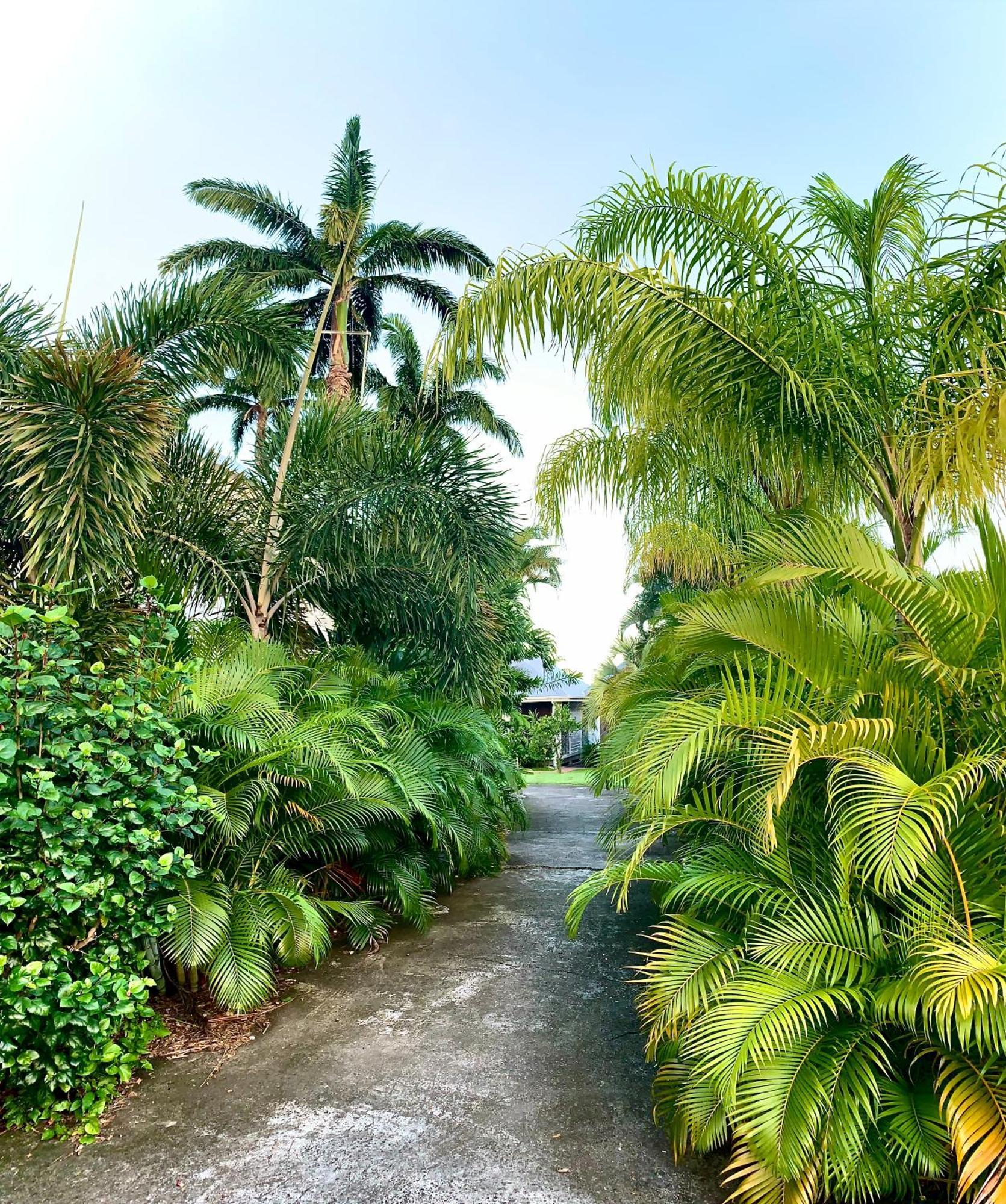 فندق Domaine Saint-Francois المظهر الخارجي الصورة